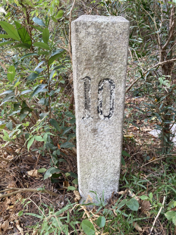 ms 10 south lantau road