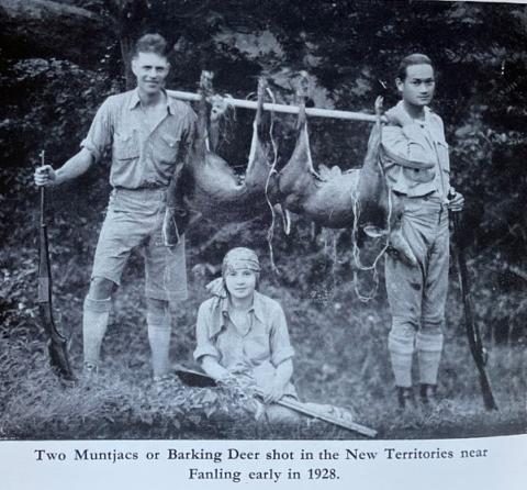 1928 - barking deer at Fanling