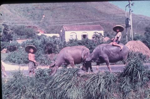 XD 19, Cow Boys, New Territories