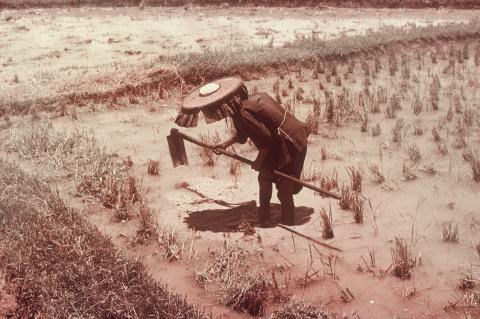 XD 9, Woman Working In The Fields
