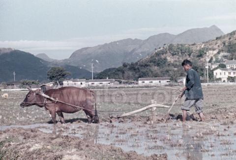 19 Ploughing