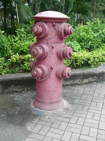 Old Fire Hydrant - Choi Hung Road