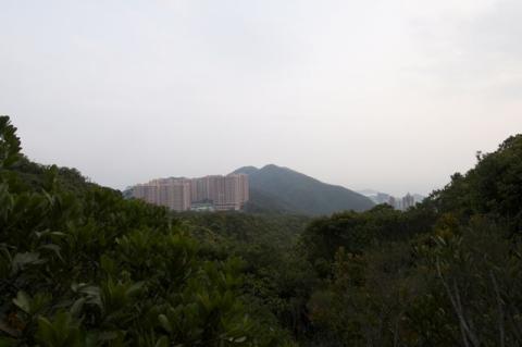 Looking towards Hong Kong Parkview