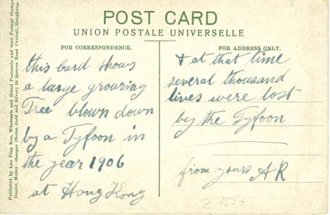Typhoon Postcard 1906