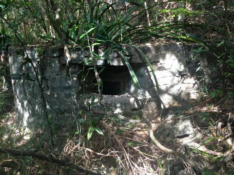 Japanese PIllbox / Tunnel, Mt Cameron