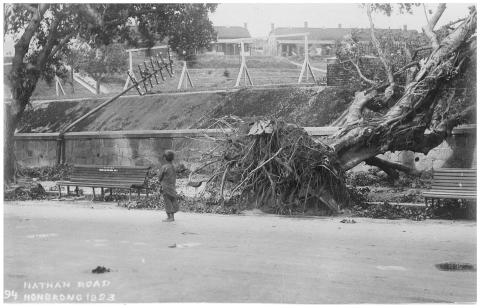 Uprooted trees on Nathan Road - 1923