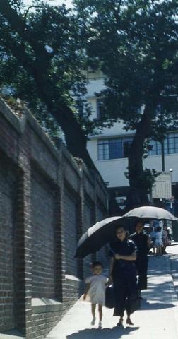 1959 Garden Road - Sloping Brick Wall