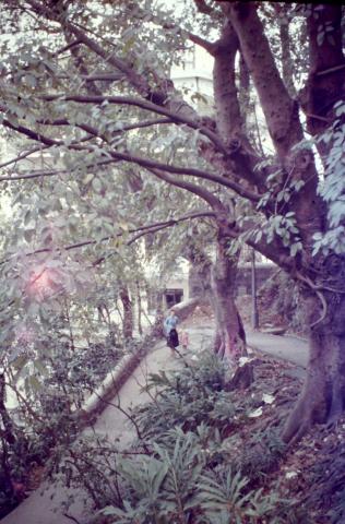 Walking down a hillside path with my Mum and older sister