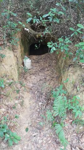 Japanese tunnel on north slope of Beacon Hill - large entrance