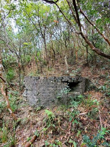 Mount Cameron Japanese U-shaped Firing Position and Tunnel.jpg