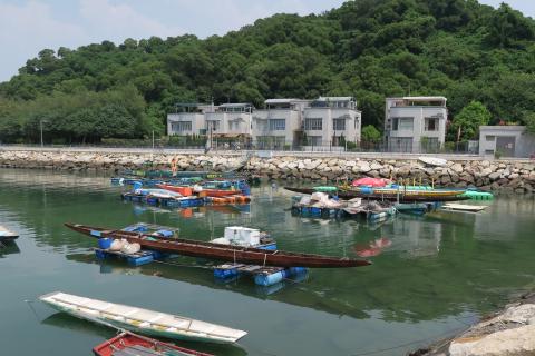 Dragon Boats at Sai Wan, Cheung Chau