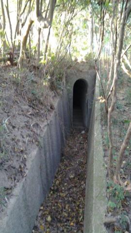 4.50pm trench leading to entrance to pillbox.jpg