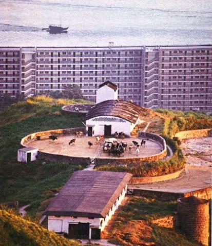 Dairy Farm Wah Fu Estate 1967.jpg