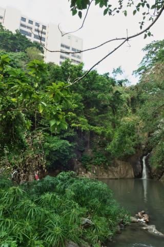Waterfall below Pokfulam Road & Chinese Cuisine Training Institute