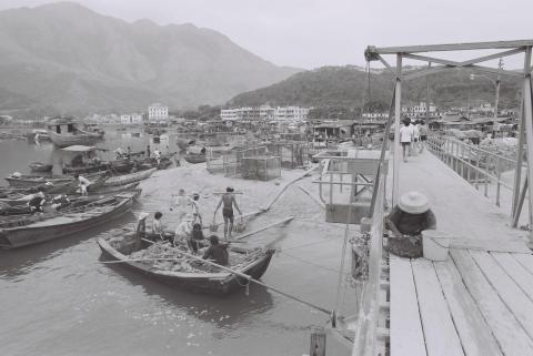 Delivering building materials, Mui Wo