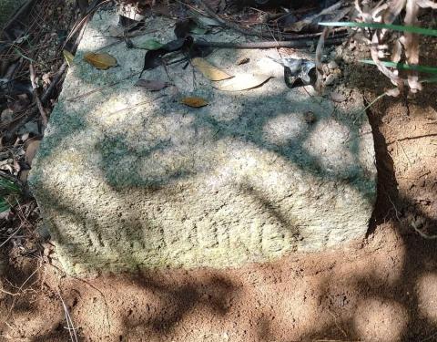?? N.K./N.T. boundary stone near Beacon Hill  (March 2022)