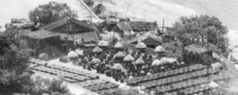 1950s Cheung Chau | Gwulo