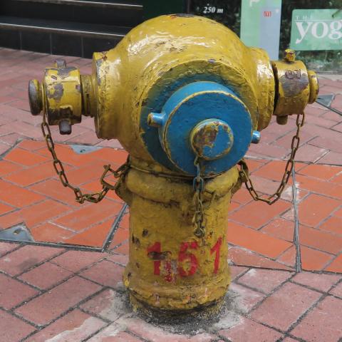 Fire Hydrant #151 on corner of QRC and Bonham Strand