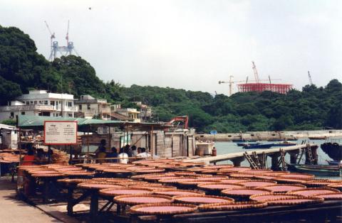 Ma Wan Island in October 1994