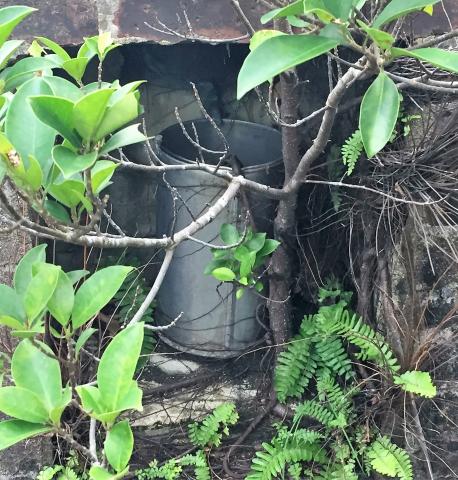 Close-up of inside of suspected rain gauge