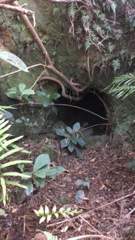 Entrance to Tunnel