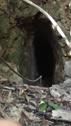 Accessible Tunnel (view into the portal)