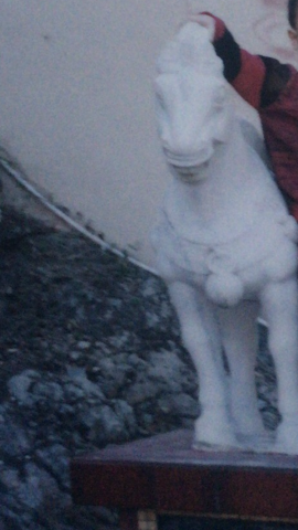 White marble pony 