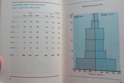 Population and the Population Pyramid, 1971