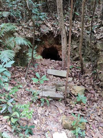 Japanese tunnel in Pinewood Battery area.jpg