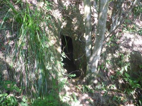 Entrance to the charcoal cave