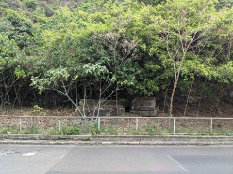 View of DEL ruins from Lee Nam Road