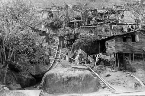 Squatters' shacks above North Point b.