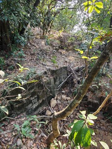 Trench east of Kai Lung Wan on HK Trail.jpg