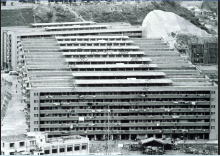 1962 Tai Wo Hau Resettlement Estate