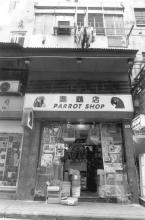 Parrot Shop, Lee Tung St
