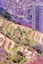 Causeway Bay hillside cultivated terraces from a hiking trail 