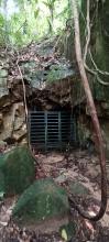 Bukit Timah tunnels 2