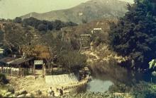 1960s Wan Tau Tong Village, Tai Po