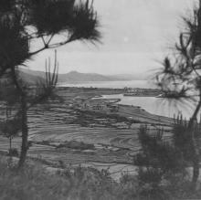 looking into communist china from the hk border 1955
