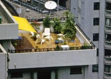 Mid levels residents rooftop garden from the peak 1996