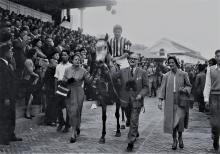 W A Stewart and his family leading in his winning horse Ben Ledi on 27 February 1954 