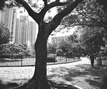 Morse Park, East Kowloon