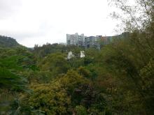 CUHK Campus after the typhoon in April 2018