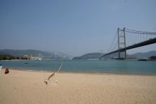 Tsing Ma Bridge from Ma Wan Tung Wan Beach