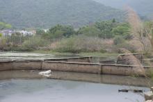 Abandoned Salt Pans in Silvermine Bay