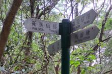 Wilson trail signpost