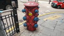 Heavy draw-off fire hydrant, Lyndhurst Terrace