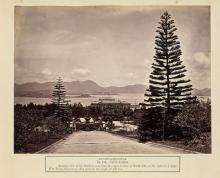 Hong Kong. Public Gardens c.1870