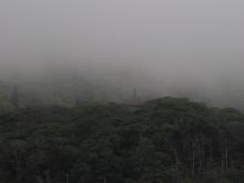Pagoda of the Flower Ornament Sutra, in the mist