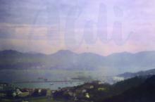 Causeway Bay from the Peak c1932